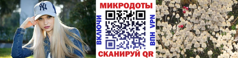 продажа наркотиков  Мезень  Галлюциногенные грибы Psilocybe 